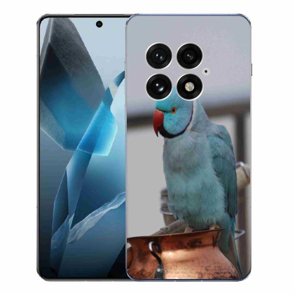 Gelový kryt mmCase na One Plus 13 - papoušek alexandr modrý