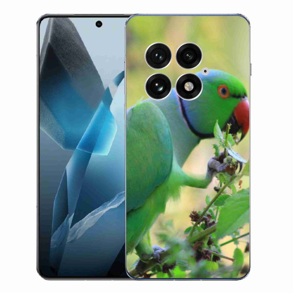 Gelový kryt mmCase na One Plus 13 - papoušek alexandr
