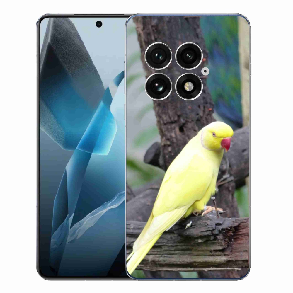 Gelový kryt mmCase na One Plus 13 - papoušek alexandr žlutý