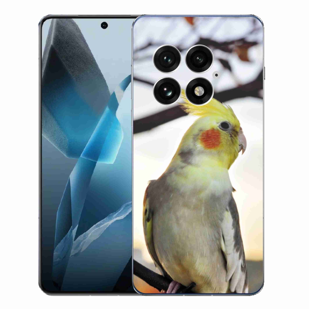 Gelový kryt mmCase na One Plus 13 - papoušek korela