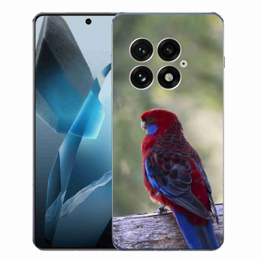 Gelový kryt mmCase na One Plus 13 - papoušek rosela