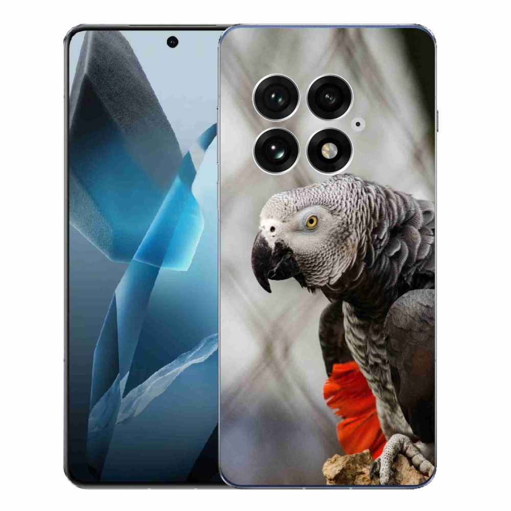 Gelový kryt mmCase na One Plus 13 - papoušek žako 3