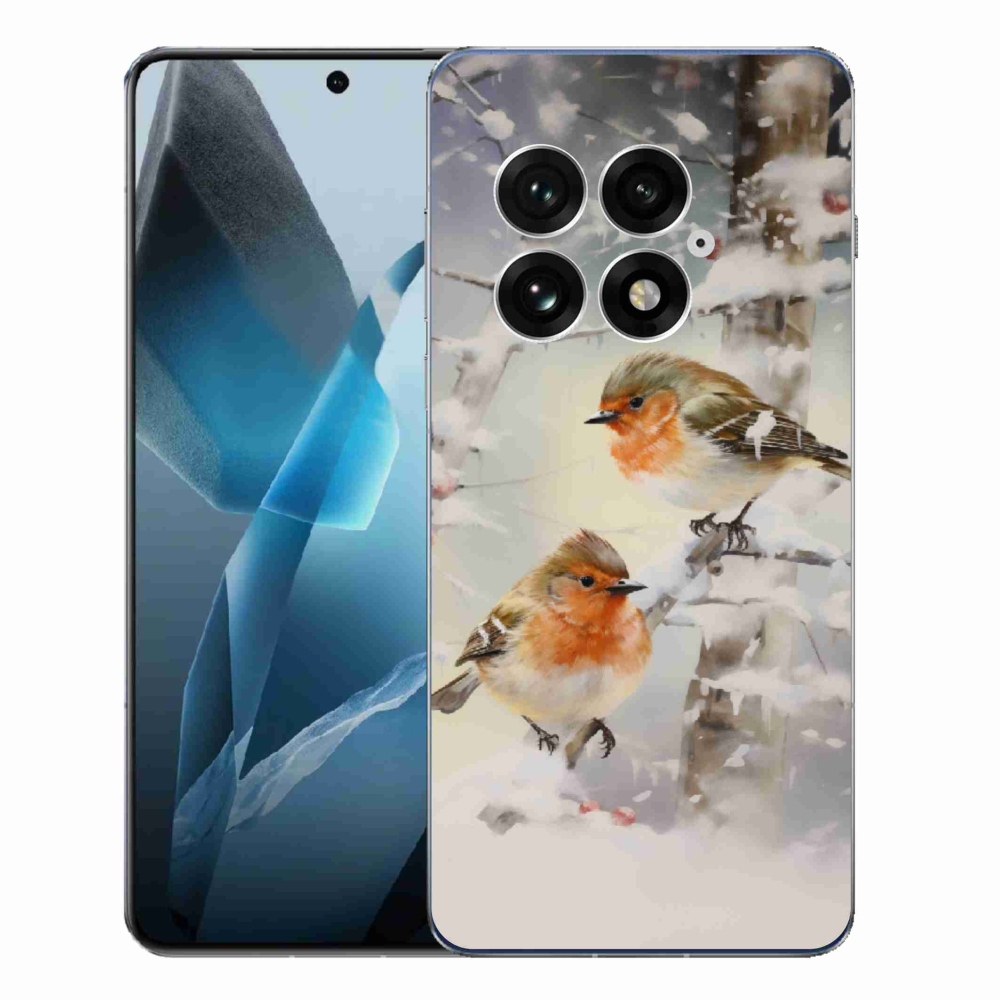 Gelový kryt mmCase na One Plus 13 - ptáčci v zimě