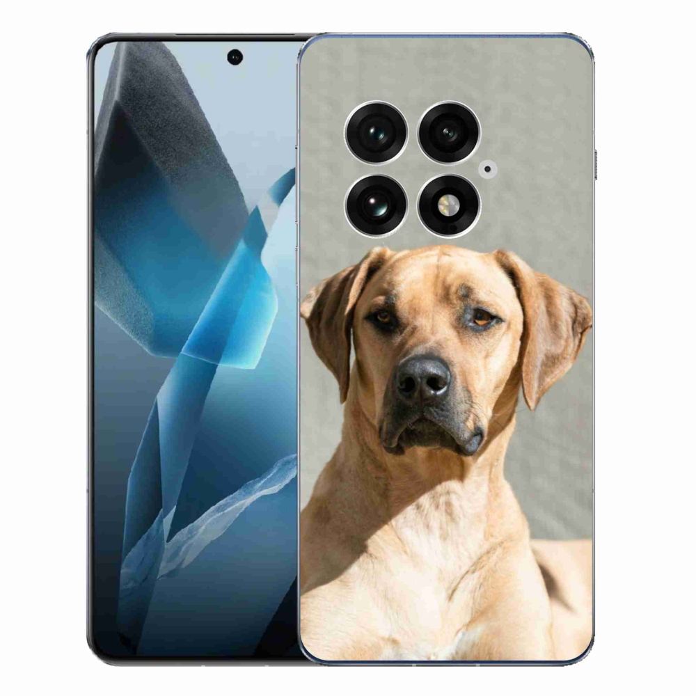 Gelový kryt mmCase na One Plus 13 - ridgeback