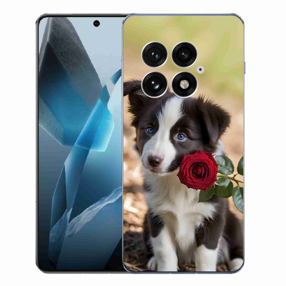 Gelový kryt mmCase na One Plus 13 - roztomilá border kolie s růží