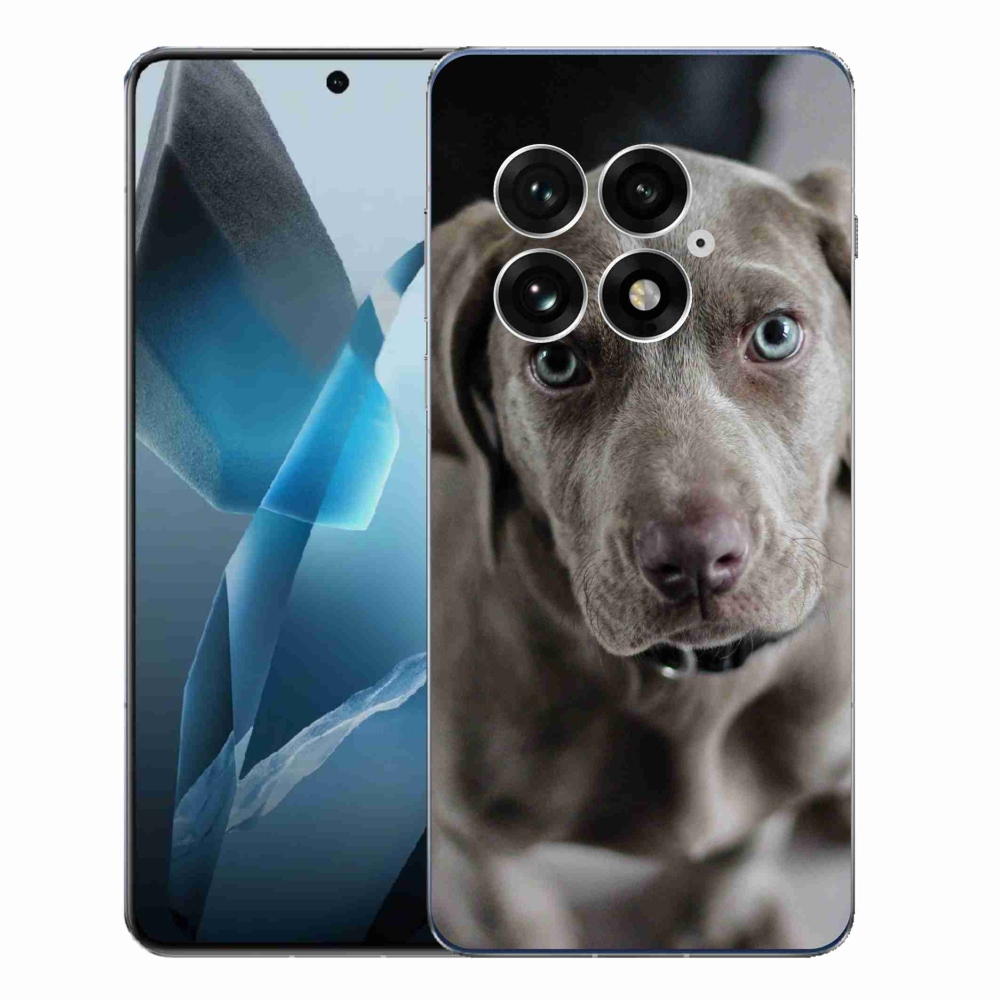 Gelový kryt mmCase na One Plus 13 - výmarský ohař