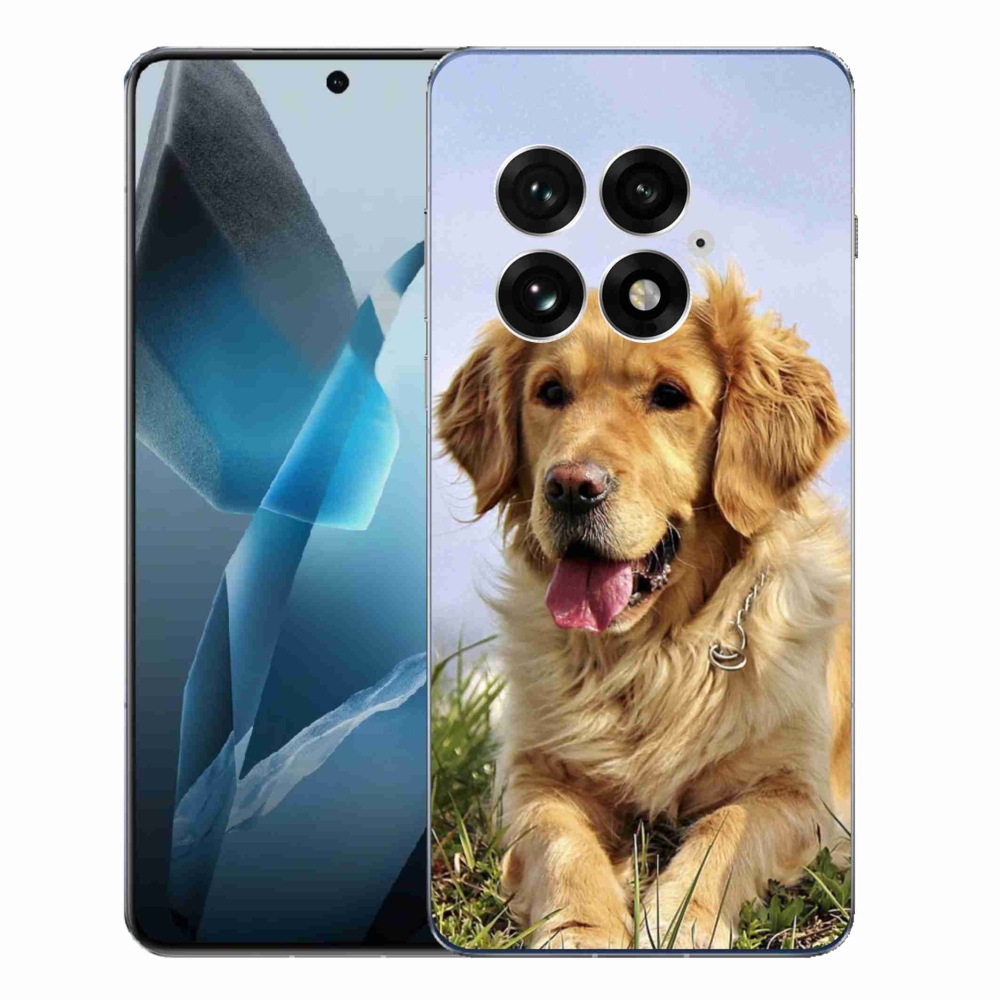 Gelový kryt mmCase na One Plus 13 - zlatý retrívr