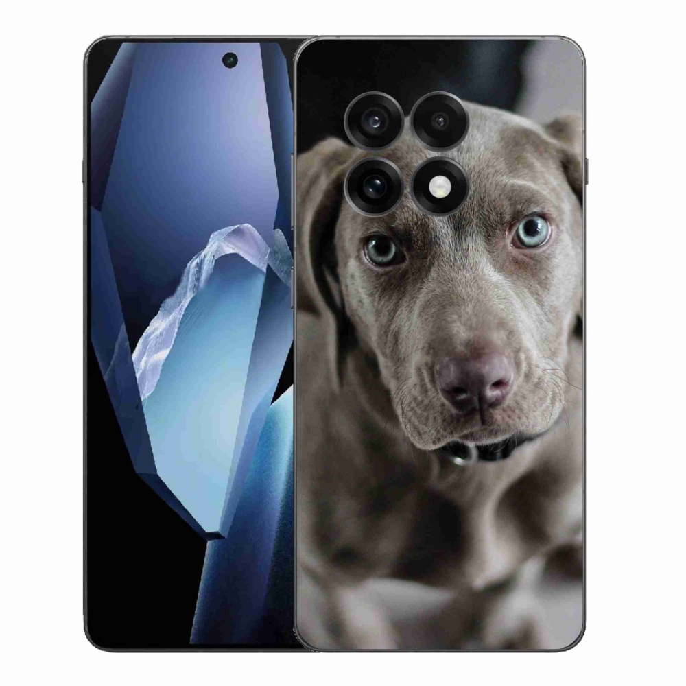 Gelový kryt mmCase na One Plus 13R - výmarský ohař