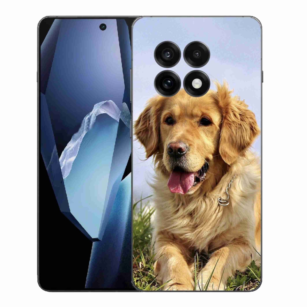 Gelový kryt mmCase na One Plus 13R - zlatý retrívr