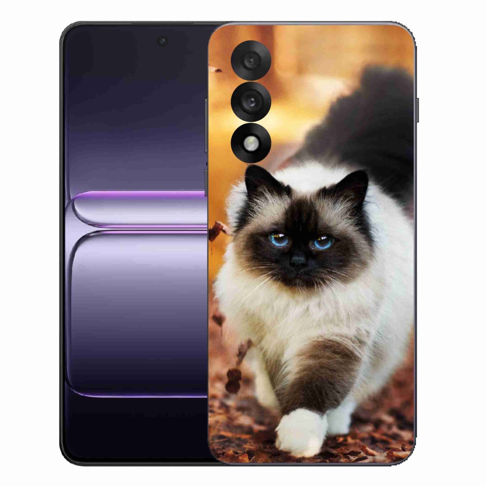 Gelový kryt mmCase na One Plus Nord 5 - kočka
