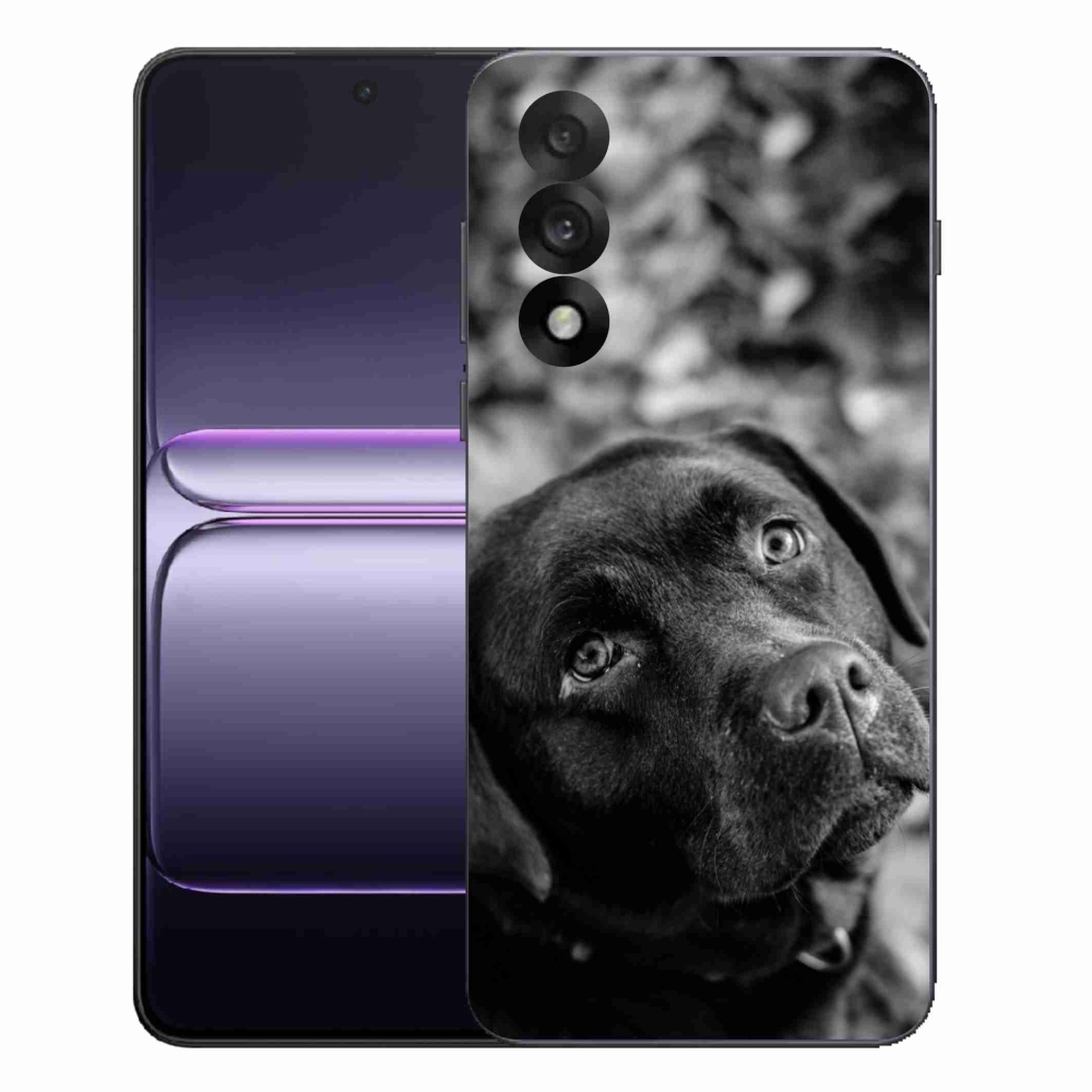 Gelový kryt mmCase na One Plus Nord 5 - labrador