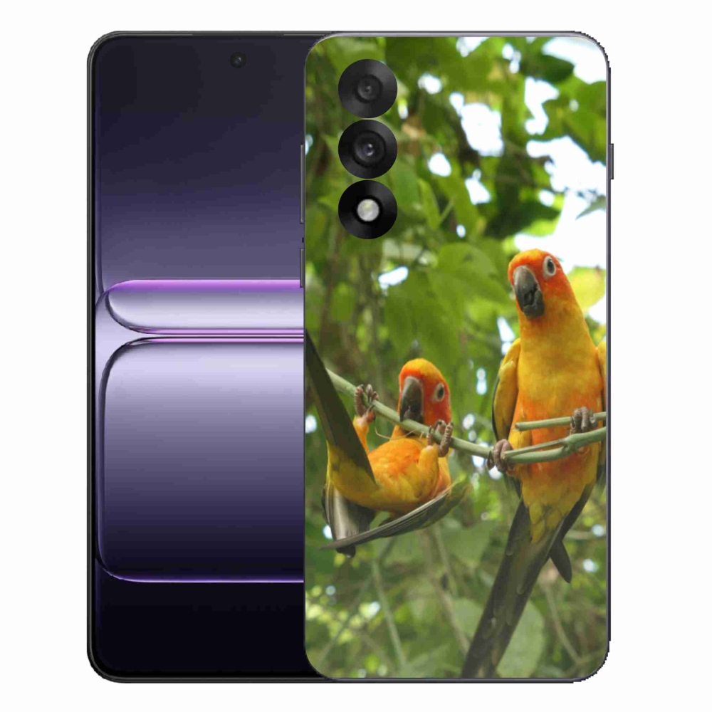 Gelový kryt mmCase na One Plus Nord 5 - papoušci aratingy