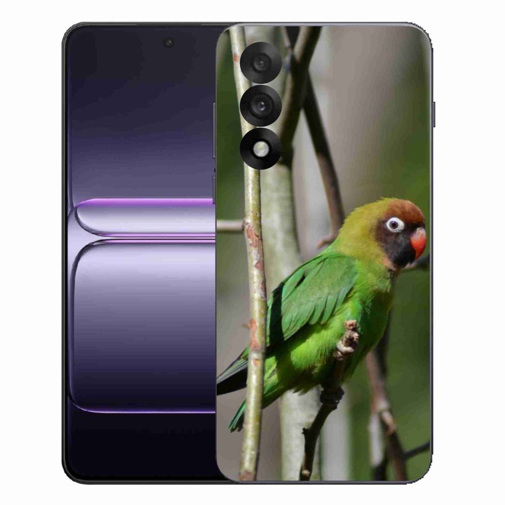 Gelový kryt mmCase na One Plus Nord 5 - papoušek agapornis