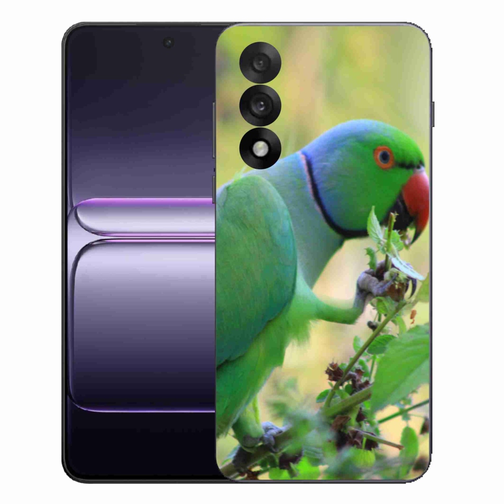 Gelový kryt mmCase na One Plus Nord 5 - papoušek alexandr
