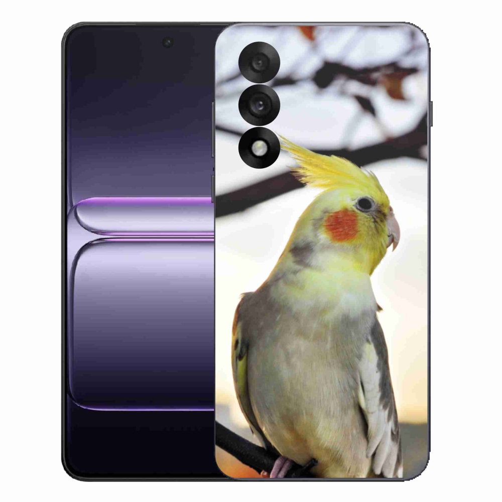 Gelový kryt mmCase na One Plus Nord 5 - papoušek korela