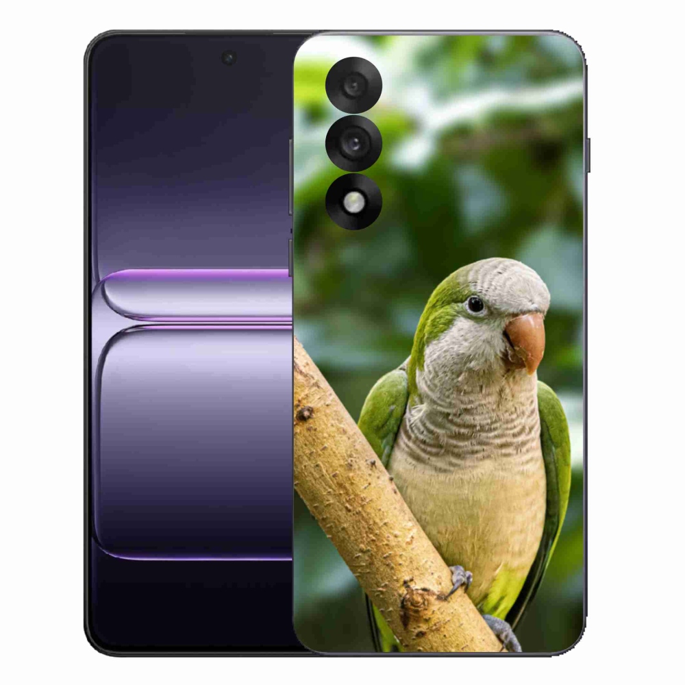 Gelový kryt mmCase na One Plus Nord 5 - papoušek mníšek