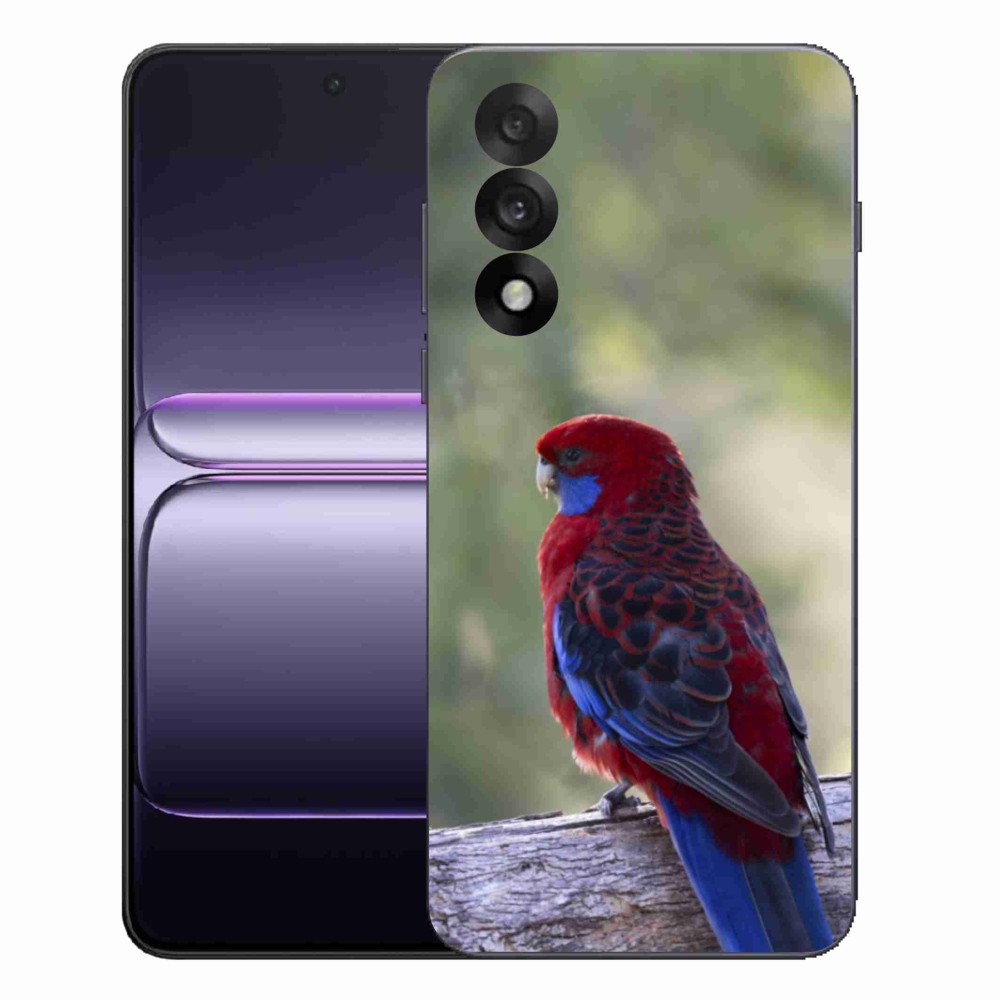 Gelový kryt mmCase na One Plus Nord 5 - papoušek rosela