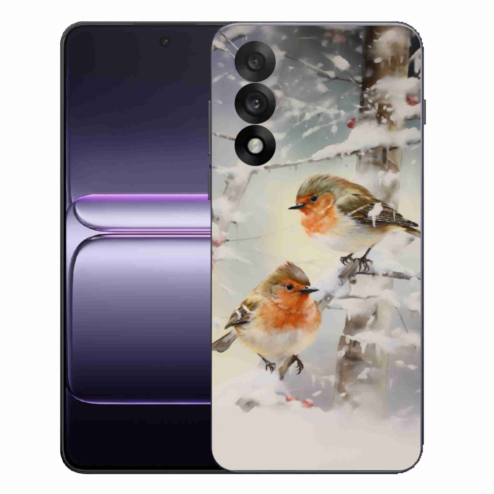 Gelový kryt mmCase na One Plus Nord 5 - ptáčci v zimě