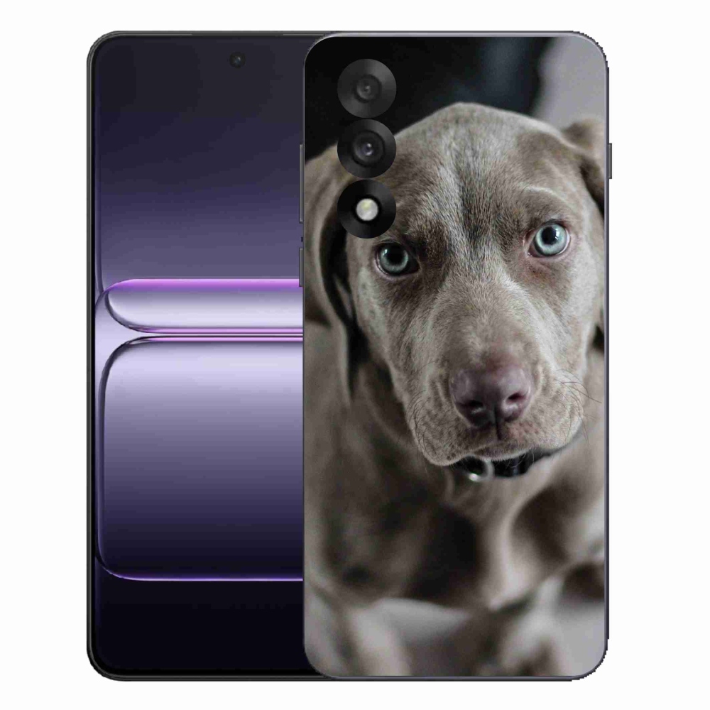 Gelový kryt mmCase na One Plus Nord 5 - výmarský ohař