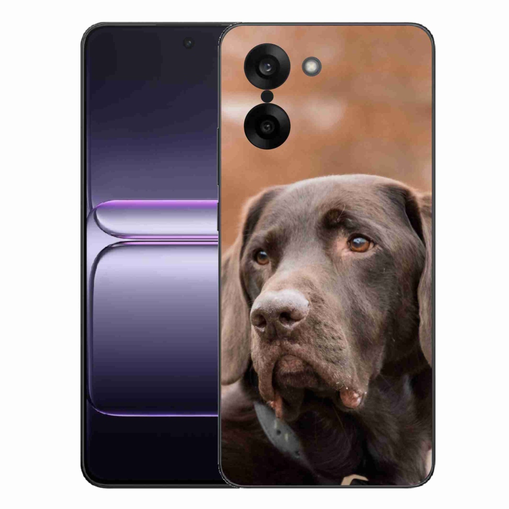 Gelový kryt mmCase na One Plus Nord CE5 - hnědý labrador
