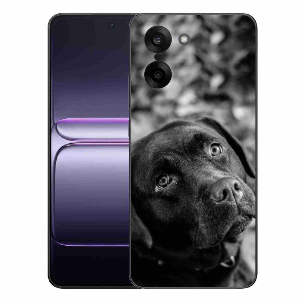 Gelový kryt mmCase na One Plus Nord CE5 - labrador