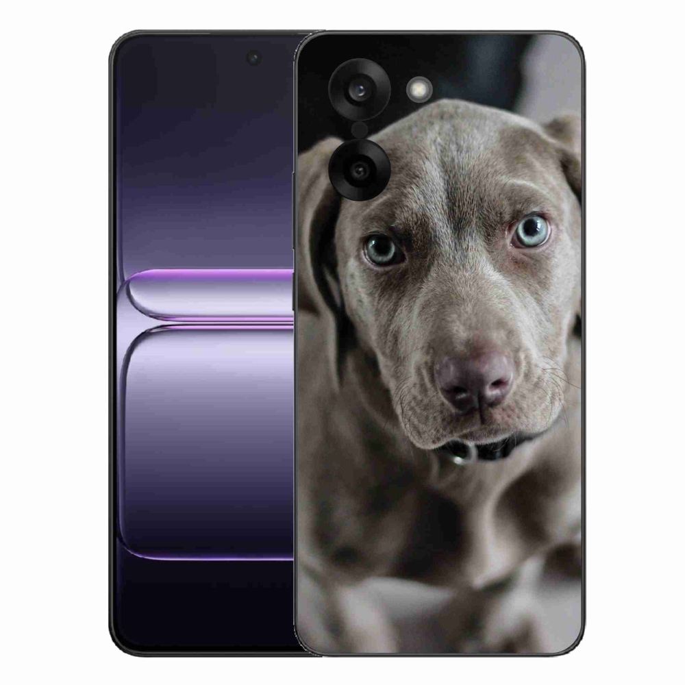 Gelový kryt mmCase na One Plus Nord CE5 - výmarský ohař