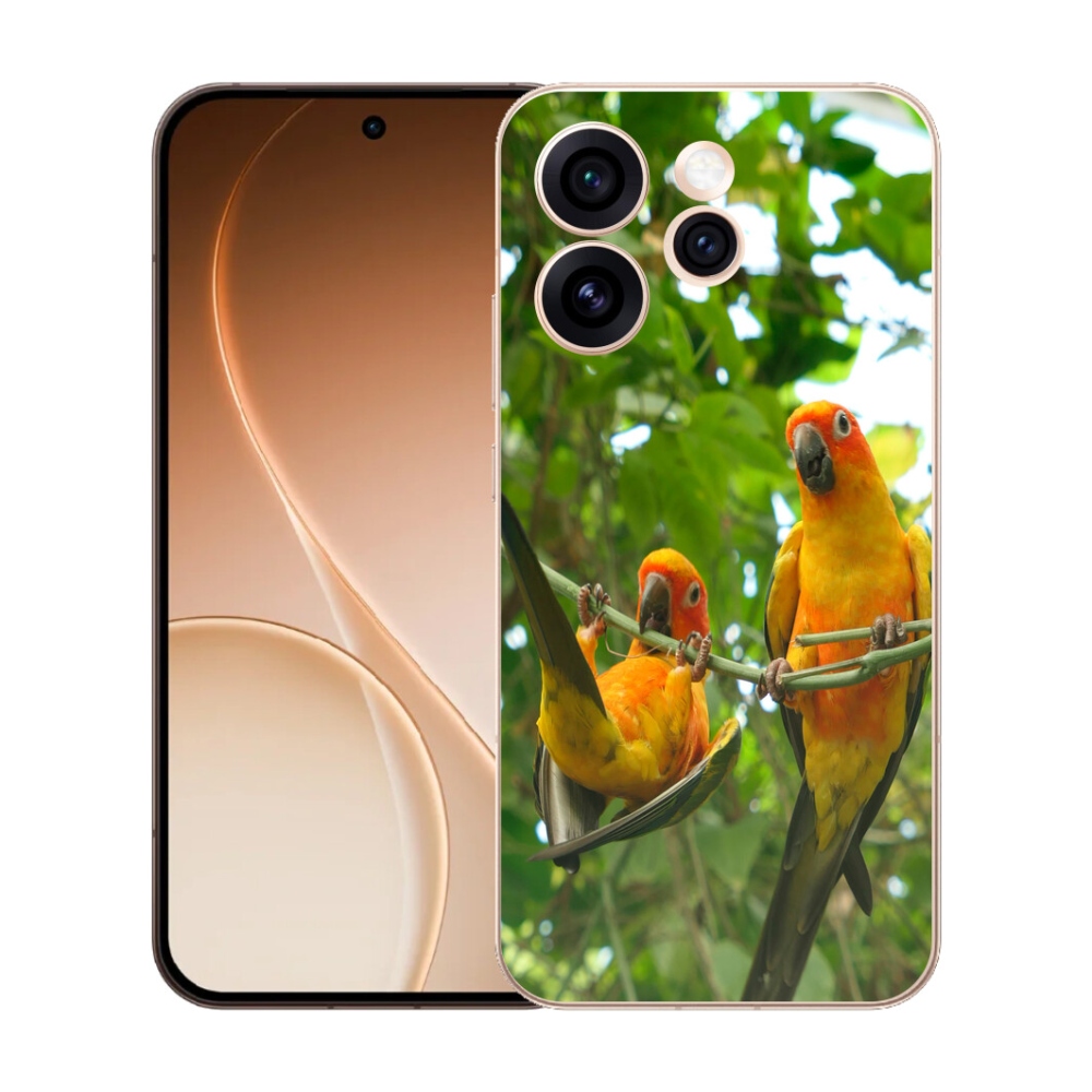 Gelový kryt mmCase na Oppo Reno 15 Pro 5G - papoušci aratingy