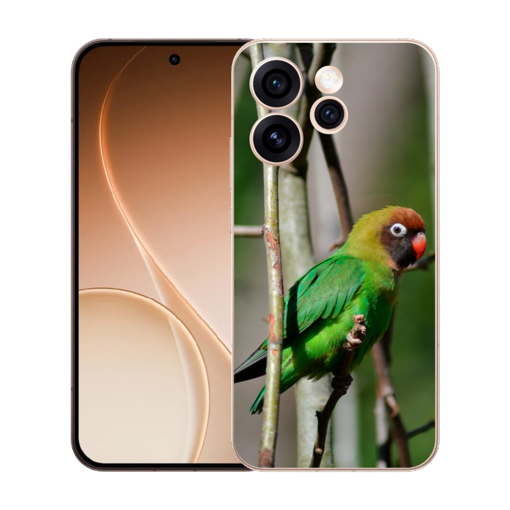 Gelový kryt mmCase na Oppo Reno 15 Pro 5G - papoušek agapornis