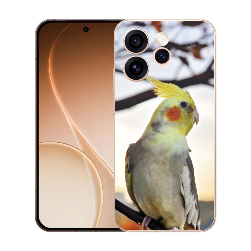 Gelový kryt mmCase na Oppo Reno 15 Pro 5G - papoušek korela