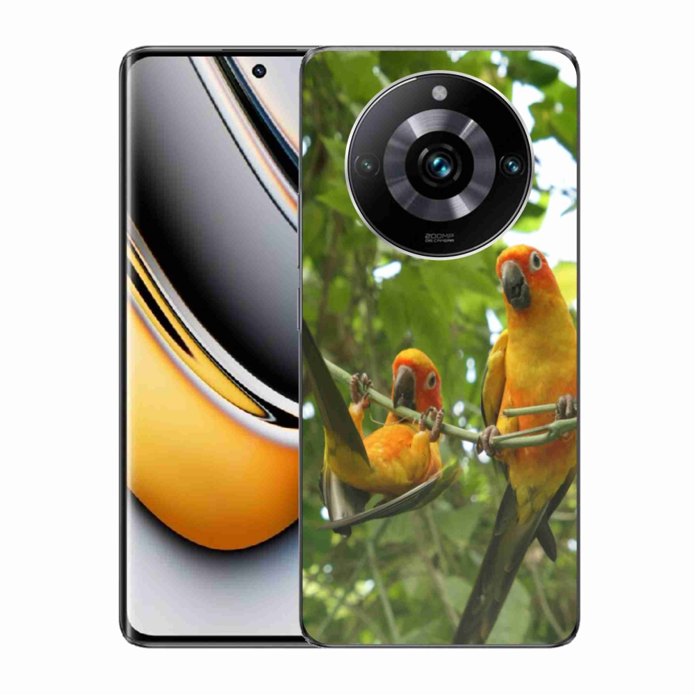 Gelový kryt mmCase na Realme 11 Pro 5G/11 Pro+ 5G - papoušci aratingy
