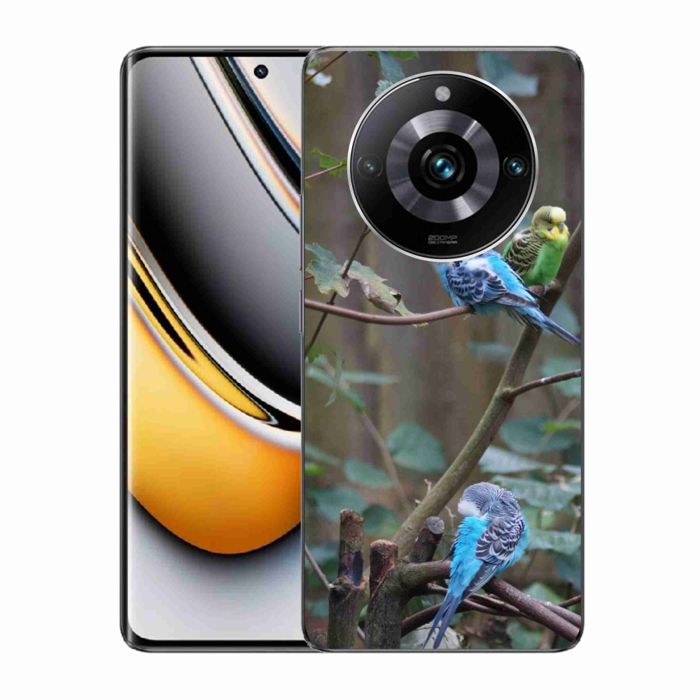 Gelový kryt mmCase na Realme 11 Pro 5G/11 Pro+ 5G - papoušci na větvi