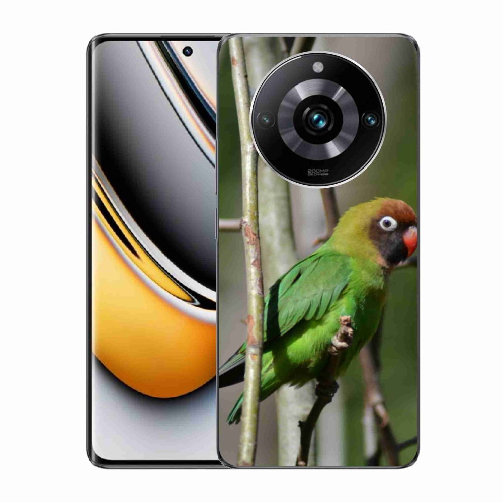 Gelový kryt mmCase na Realme 11 Pro 5G/11 Pro+ 5G - papoušek agapornis
