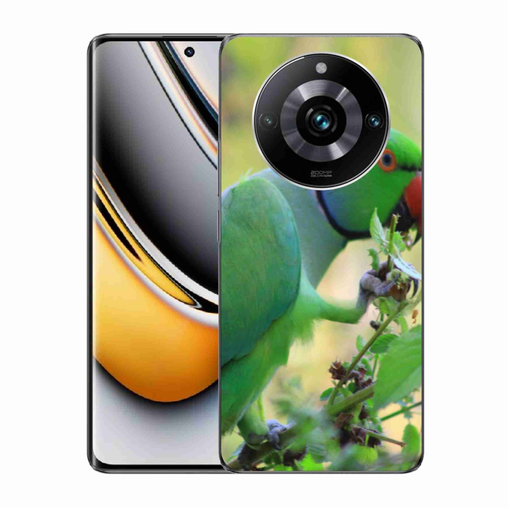 Gelový kryt mmCase na Realme 11 Pro 5G/11 Pro+ 5G - papoušek alexandr