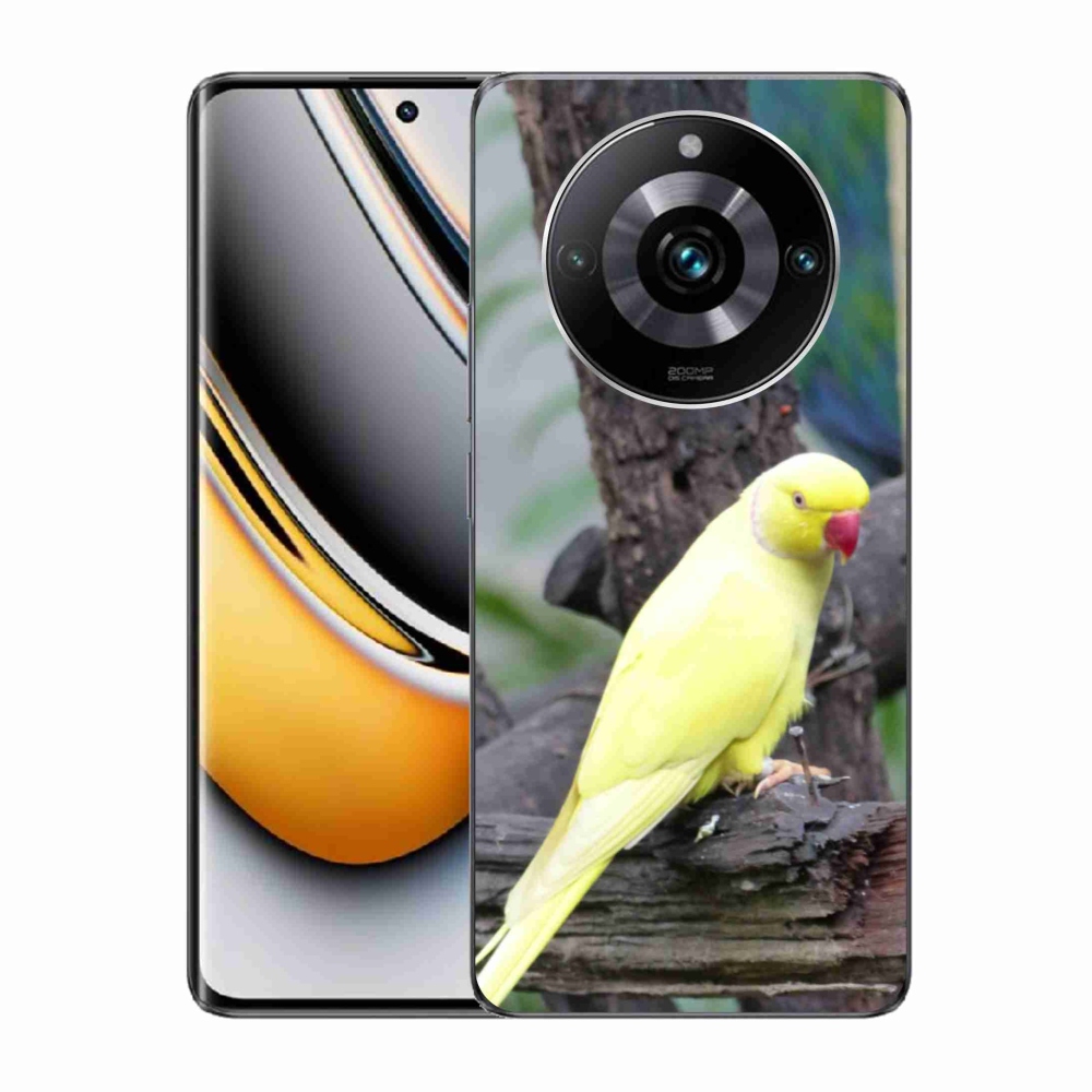 Gelový kryt mmCase na Realme 11 Pro 5G/11 Pro+ 5G - papoušek alexandr žlutý