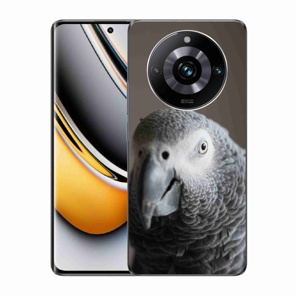 Gelový kryt mmCase na Realme 11 Pro 5G/11 Pro+ 5G - papoušek žako 2