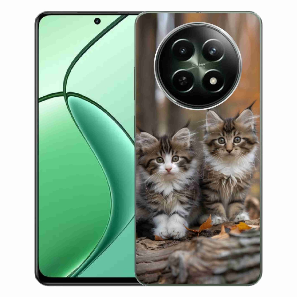 Gelový kryt mmCase na Realme 12 5G/12x 5G - kočičí duo 3