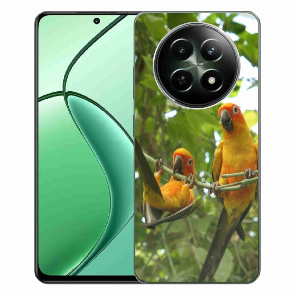 Gelový kryt mmCase na Realme 12 5G/12x 5G - papoušci aratingy