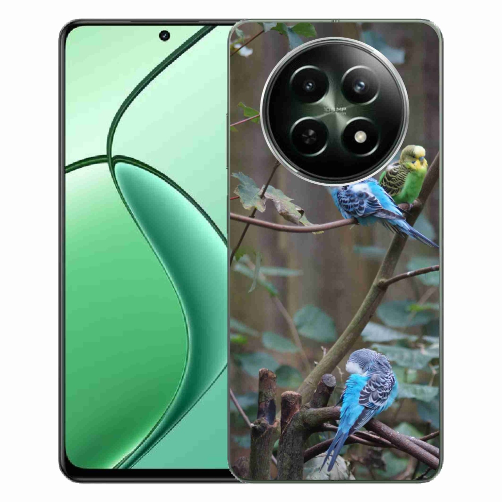 Gelový kryt mmCase na Realme 12 5G/12x 5G - papoušci na větvi