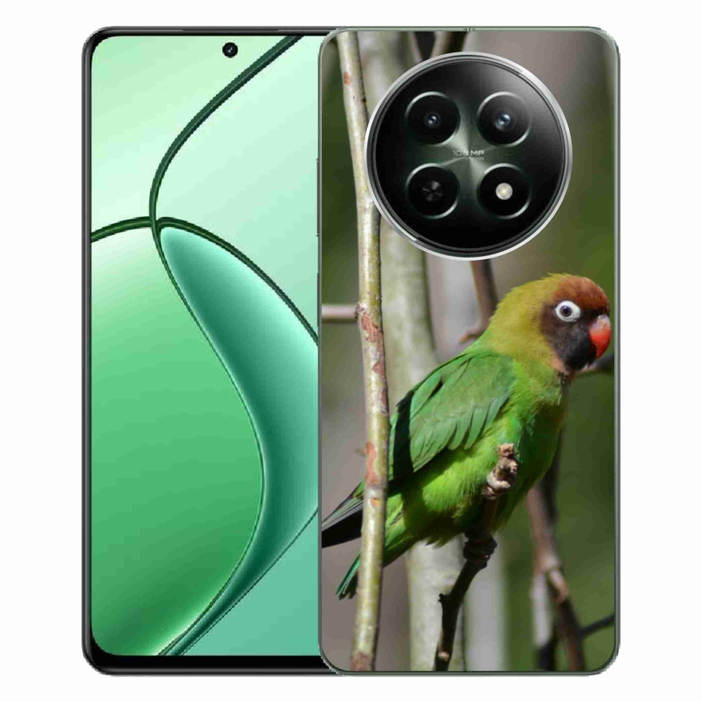 Gelový kryt mmCase na Realme 12 5G/12x 5G - papoušek agapornis