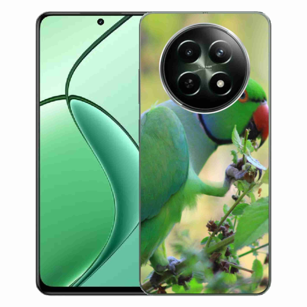 Gelový kryt mmCase na Realme 12 5G/12x 5G - papoušek alexandr