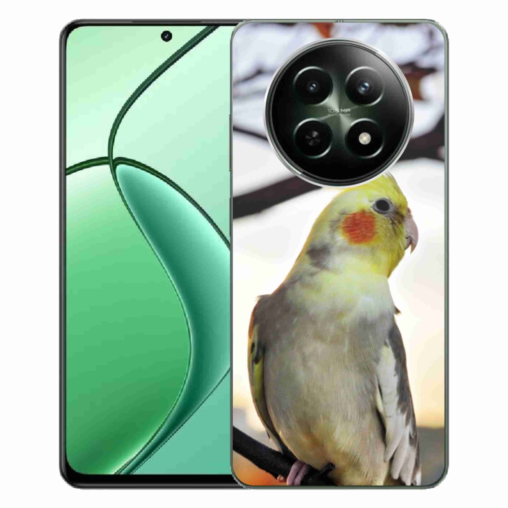 Gelový kryt mmCase na Realme 12 5G/12x 5G - papoušek korela