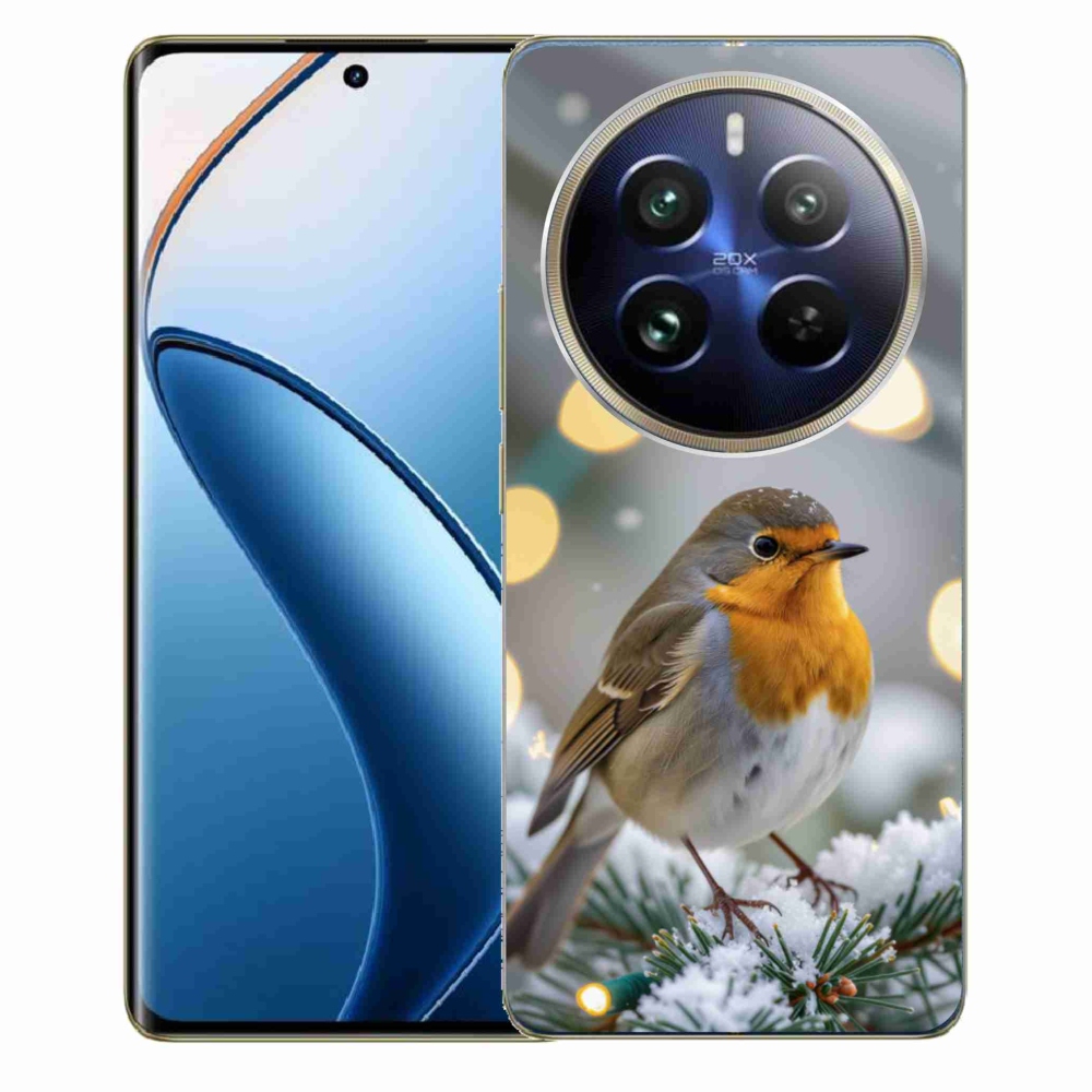 Gelový kryt mmCase na Realme 12 Pro 5G/12 Pro+ 5G - červenka v zimě
