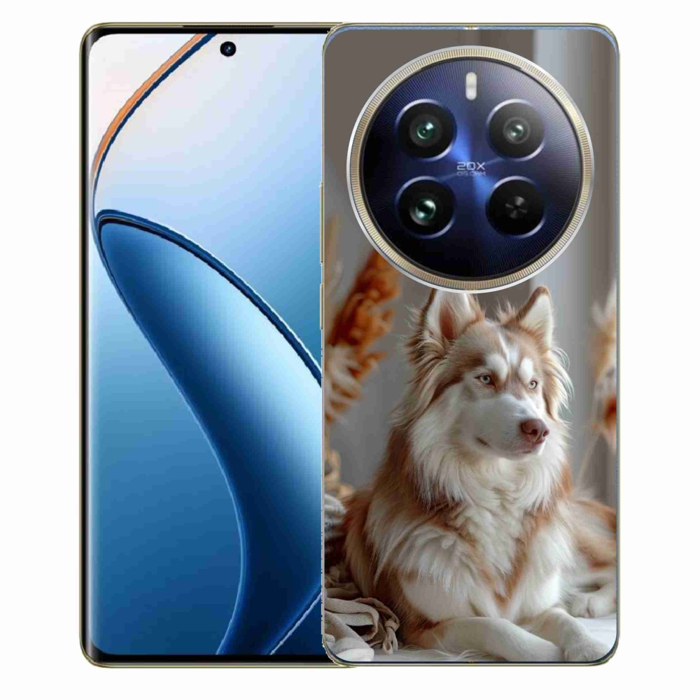 Gelový kryt mmCase na Realme 12 Pro 5G/12 Pro+ 5G - klidný sibiřský husky
