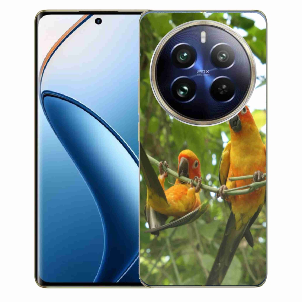 Gelový kryt mmCase na Realme 12 Pro 5G/12 Pro+ 5G - papoušci aratingy