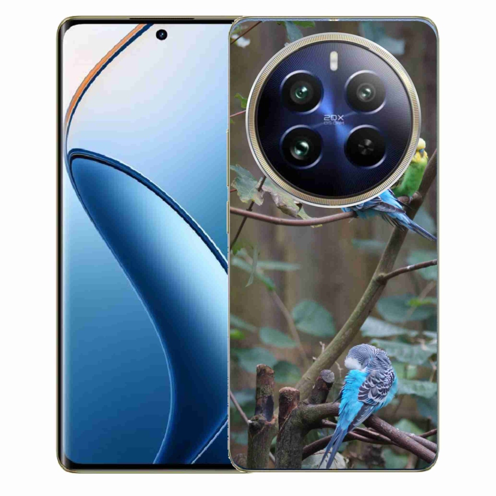 Gelový kryt mmCase na Realme 12 Pro 5G/12 Pro+ 5G - papoušci na větvi