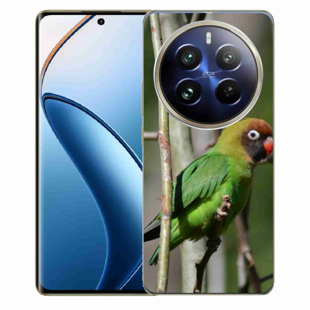 Gelový kryt mmCase na Realme 12 Pro 5G/12 Pro+ 5G - papoušek agapornis