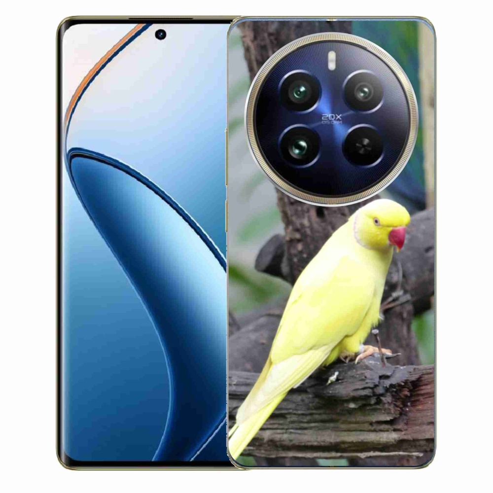 Gelový kryt mmCase na Realme 12 Pro 5G/12 Pro+ 5G - papoušek alexandr žlutý