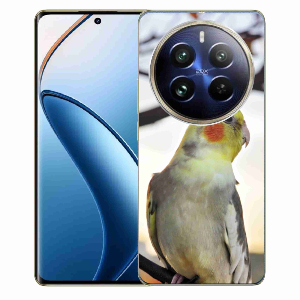 Gelový kryt mmCase na Realme 12 Pro 5G/12 Pro+ 5G - papoušek korela