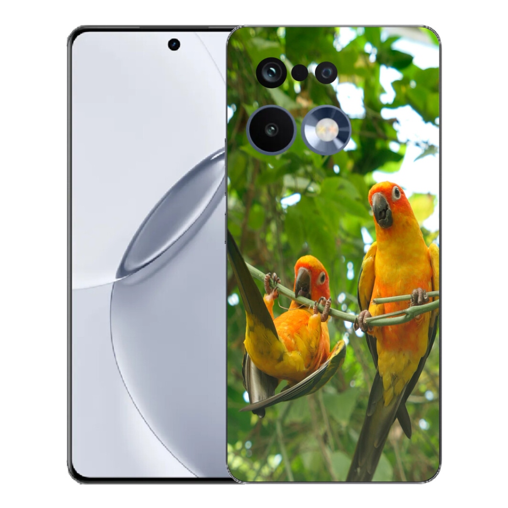 Gelový kryt mmCase na Realme 16 Pro+ - papoušci aratingy