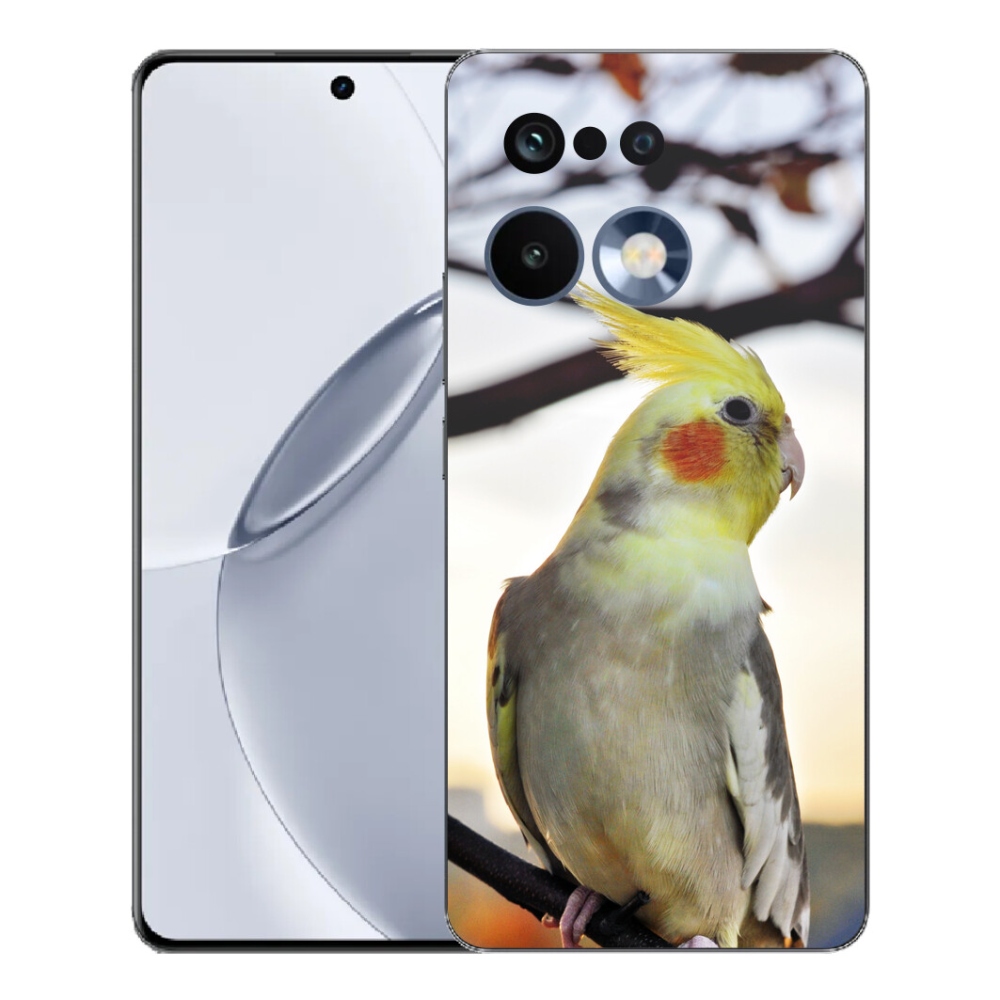 Gelový kryt mmCase na Realme 16 Pro+ - papoušek korela